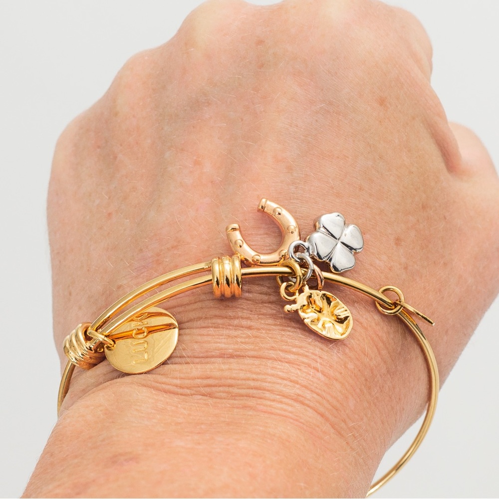 Expandable charm bracelet bangle bracelet 4 charms luck theme Bronzo Italia